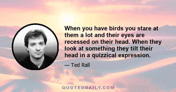 When you have birds you stare at them a lot and their eyes are recessed on their head. When they look at something they tilt their head in a quizzical expression.