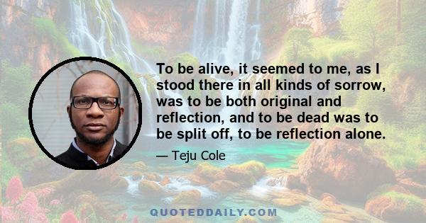 To be alive, it seemed to me, as I stood there in all kinds of sorrow, was to be both original and reflection, and to be dead was to be split off, to be reflection alone.