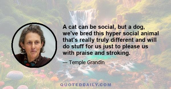 A cat can be social, but a dog, we've bred this hyper social animal that's really truly different and will do stuff for us just to please us with praise and stroking.