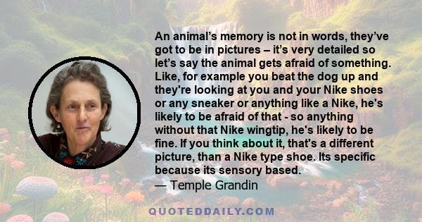 An animal’s memory is not in words, they’ve got to be in pictures – it’s very detailed so let’s say the animal gets afraid of something. Like, for example you beat the dog up and they're looking at you and your Nike