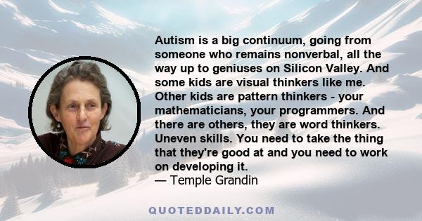 Autism is a big continuum, going from someone who remains nonverbal, all the way up to geniuses on Silicon Valley. And some kids are visual thinkers like me. Other kids are pattern thinkers - your mathematicians, your