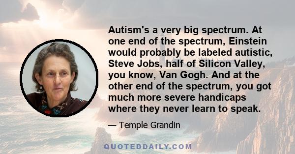 Autism's a very big spectrum. At one end of the spectrum, Einstein would probably be labeled autistic, Steve Jobs, half of Silicon Valley, you know, Van Gogh. And at the other end of the spectrum, you got much more