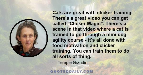 Cats are great with clicker training. There's a great video you can get called Clicker Magic. There's a scene in that video where a cat is trained to go through a mini dog agility course - it's all done with food