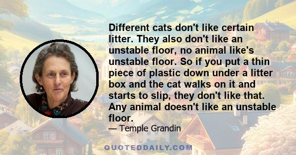 Different cats don't like certain litter. They also don't like an unstable floor, no animal like's unstable floor. So if you put a thin piece of plastic down under a litter box and the cat walks on it and starts to