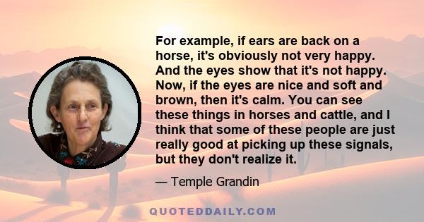 For example, if ears are back on a horse, it's obviously not very happy. And the eyes show that it's not happy. Now, if the eyes are nice and soft and brown, then it's calm. You can see these things in horses and