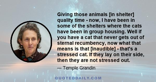 Giving those animals [in shelter] quality time - now, I have been in some of the shelters where the cats have been in group housing. Well if you have a cat that never gets out of sternal recumbency, now what that means