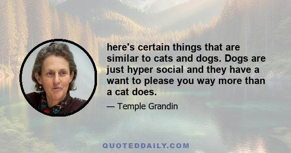 here's certain things that are similar to cats and dogs. Dogs are just hyper social and they have a want to please you way more than a cat does.