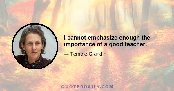 I cannot emphasize enough the importance of a good teacher.