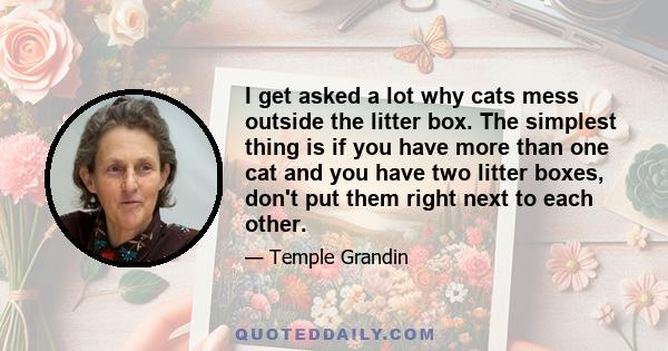 I get asked a lot why cats mess outside the litter box. The simplest thing is if you have more than one cat and you have two litter boxes, don't put them right next to each other.