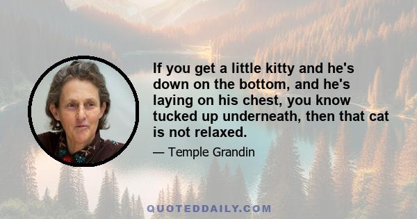 If you get a little kitty and he's down on the bottom, and he's laying on his chest, you know tucked up underneath, then that cat is not relaxed.