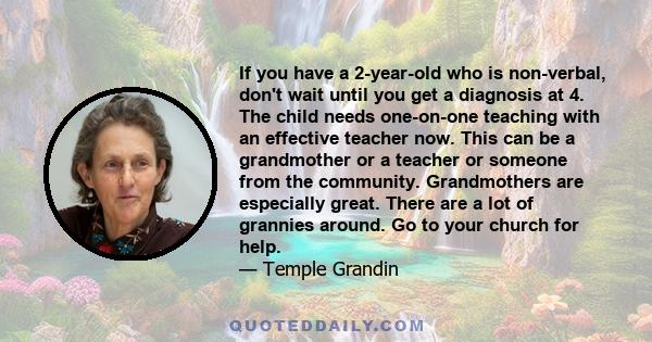 If you have a 2-year-old who is non-verbal, don't wait until you get a diagnosis at 4. The child needs one-on-one teaching with an effective teacher now. This can be a grandmother or a teacher or someone from the