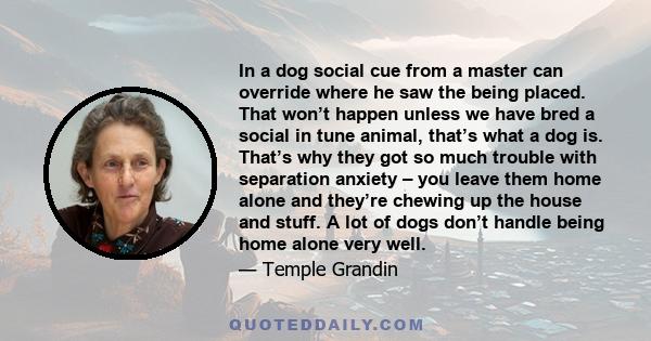 In a dog social cue from a master can override where he saw the being placed. That won’t happen unless we have bred a social in tune animal, that’s what a dog is. That’s why they got so much trouble with separation