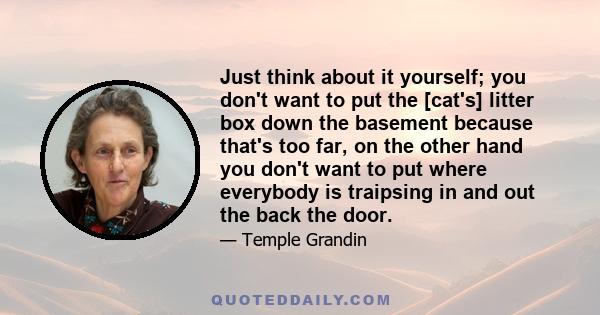 Just think about it yourself; you don't want to put the [cat's] litter box down the basement because that's too far, on the other hand you don't want to put where everybody is traipsing in and out the back the door.