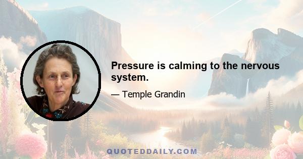 Pressure is calming to the nervous system.