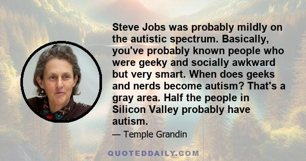 Steve Jobs was probably mildly on the autistic spectrum. Basically, you've probably known people who were geeky and socially awkward but very smart. When does geeks and nerds become autism? That's a gray area. Half the