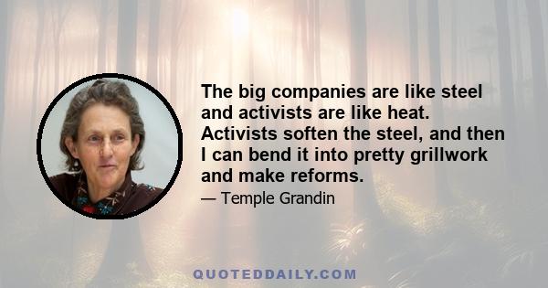 The big companies are like steel and activists are like heat. Activists soften the steel, and then I can bend it into pretty grillwork and make reforms.