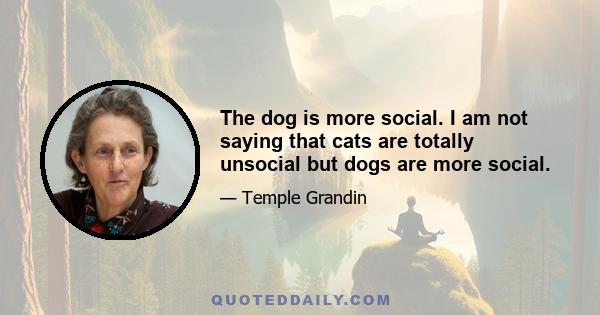 The dog is more social. I am not saying that cats are totally unsocial but dogs are more social.