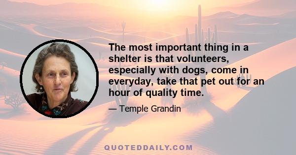 The most important thing in a shelter is that volunteers, especially with dogs, come in everyday, take that pet out for an hour of quality time.