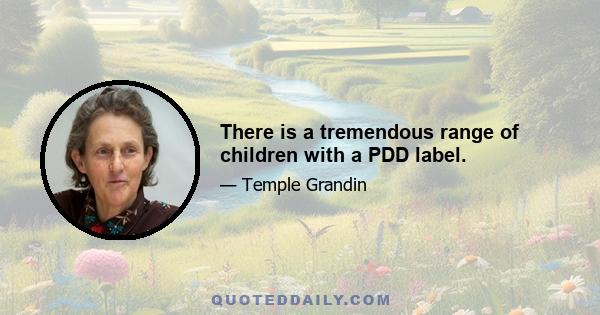 There is a tremendous range of children with a PDD label.