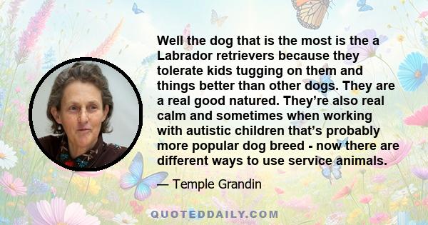 Well the dog that is the most is the a Labrador retrievers because they tolerate kids tugging on them and things better than other dogs. They are a real good natured. They’re also real calm and sometimes when working