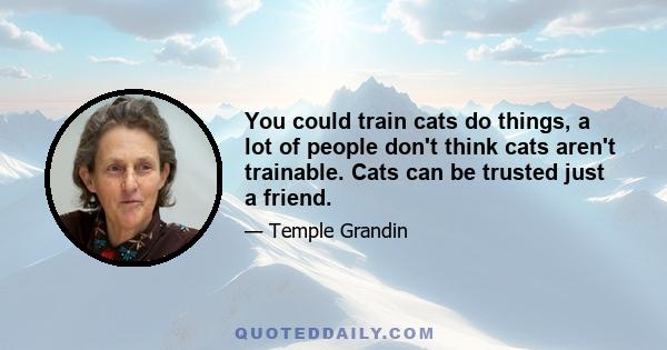 You could train cats do things, a lot of people don't think cats aren't trainable. Cats can be trusted just a friend.