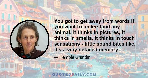 You got to get away from words if you want to understand any animal. It thinks in pictures, it thinks in smells, it thinks in touch sensations - little sound bites like, it's a very detailed memory.