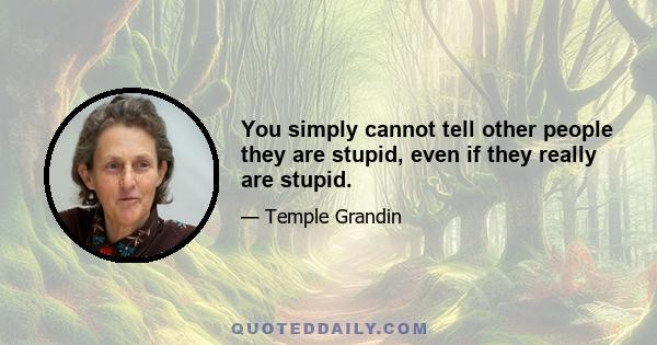 You simply cannot tell other people they are stupid, even if they really are stupid.