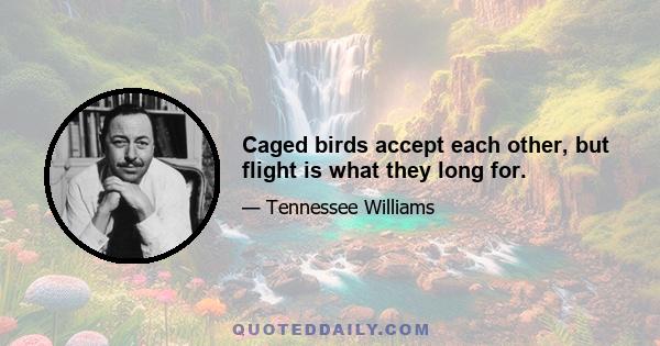 Caged birds accept each other, but flight is what they long for.