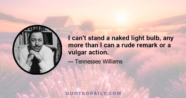 I can't stand a naked light bulb, any more than I can a rude remark or a vulgar action.