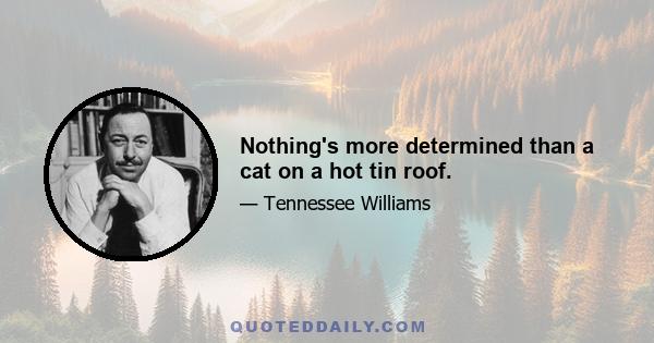 Nothing's more determined than a cat on a hot tin roof.