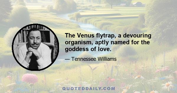 The Venus flytrap, a devouring organism, aptly named for the goddess of love.