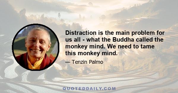 Distraction is the main problem for us all - what the Buddha called the monkey mind. We need to tame this monkey mind.