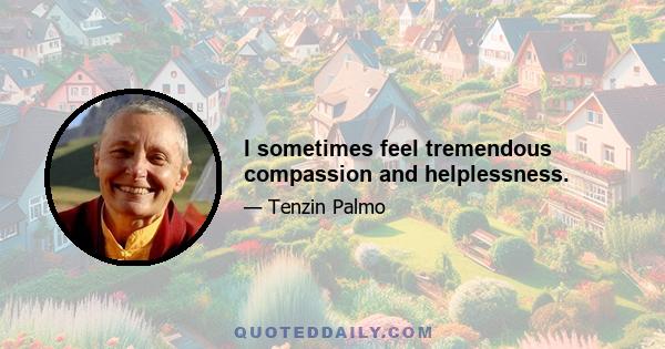 I sometimes feel tremendous compassion and helplessness.