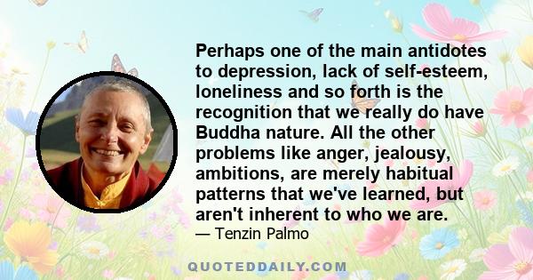 Perhaps one of the main antidotes to depression, lack of self-esteem, loneliness and so forth is the recognition that we really do have Buddha nature. All the other problems like anger, jealousy, ambitions, are merely