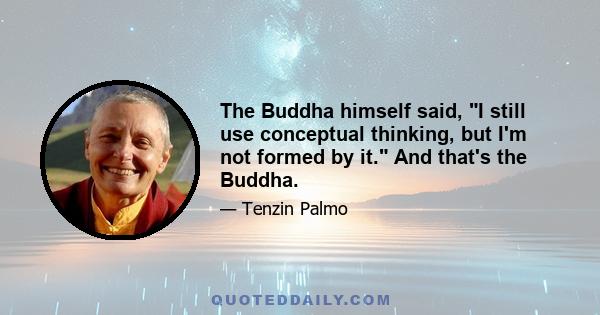 The Buddha himself said, I still use conceptual thinking, but I'm not formed by it. And that's the Buddha.