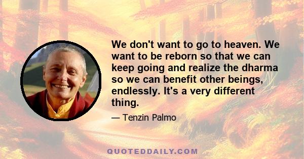 We don't want to go to heaven. We want to be reborn so that we can keep going and realize the dharma so we can benefit other beings, endlessly. It's a very different thing.