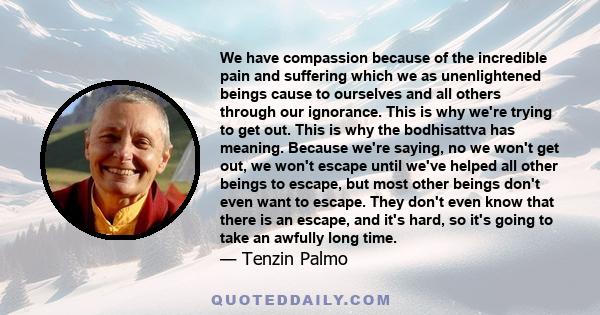 We have compassion because of the incredible pain and suffering which we as unenlightened beings cause to ourselves and all others through our ignorance. This is why we're trying to get out. This is why the bodhisattva