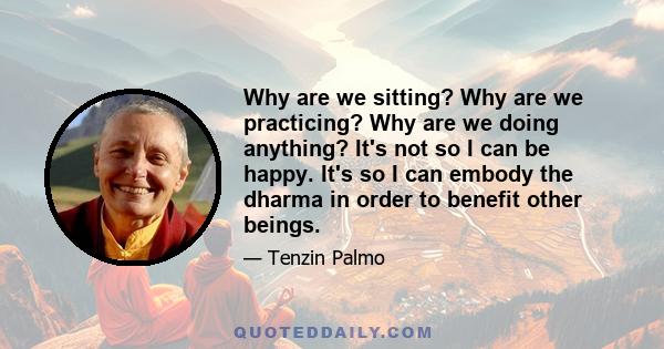 Why are we sitting? Why are we practicing? Why are we doing anything? It's not so I can be happy. It's so I can embody the dharma in order to benefit other beings.