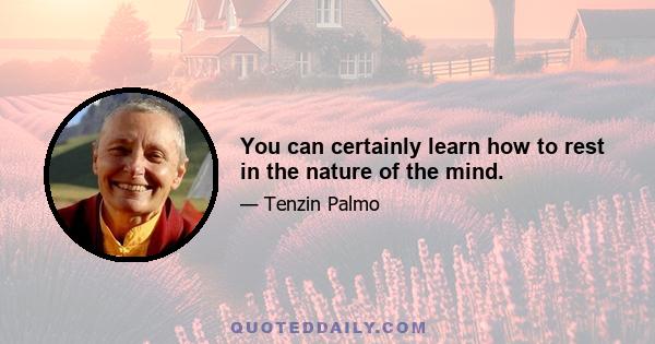 You can certainly learn how to rest in the nature of the mind.