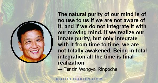 The natural purity of our mind is of no use to us if we are not aware of it, and if we do not integrate it with our moving mind. If we realize our innate purity, but only integrate with it from time to time, we are not