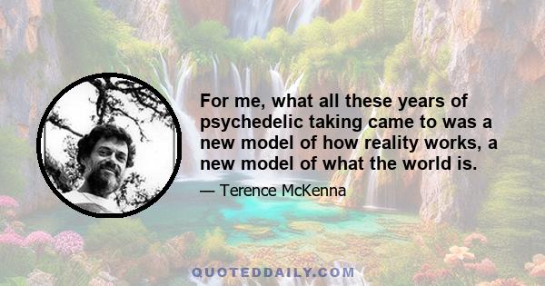 For me, what all these years of psychedelic taking came to was a new model of how reality works, a new model of what the world is.