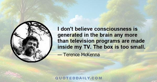 I don't believe consciousness is generated in the brain any more than television programs are made inside my TV. The box is too small.