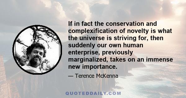 If in fact the conservation and complexification of novelty is what the universe is striving for, then suddenly our own human enterprise, previously marginalized, takes on an immense new importance.