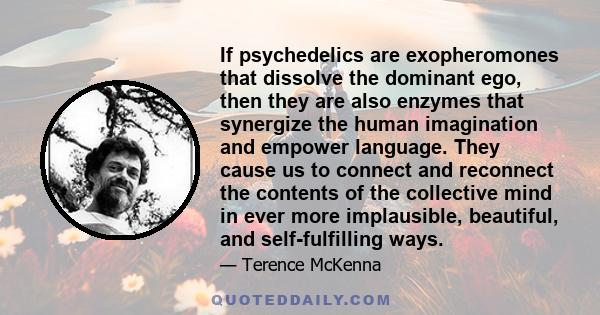 If psychedelics are exopheromones that dissolve the dominant ego, then they are also enzymes that synergize the human imagination and empower language. They cause us to connect and reconnect the contents of the