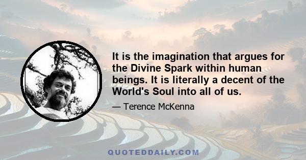 It is the imagination that argues for the Divine Spark within human beings. It is literally a decent of the World's Soul into all of us.