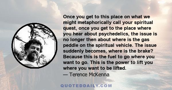 Once you get to this place on what we might metaphorically call your spiritual quest, once you get to the place where you hear about psychedelics, the issue is no longer then about where is the gas peddle on the