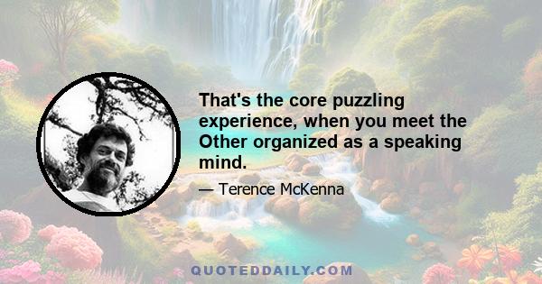 That's the core puzzling experience, when you meet the Other organized as a speaking mind.