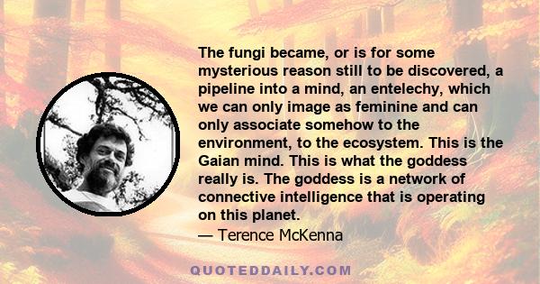 The fungi became, or is for some mysterious reason still to be discovered, a pipeline into a mind, an entelechy, which we can only image as feminine and can only associate somehow to the environment, to the ecosystem.