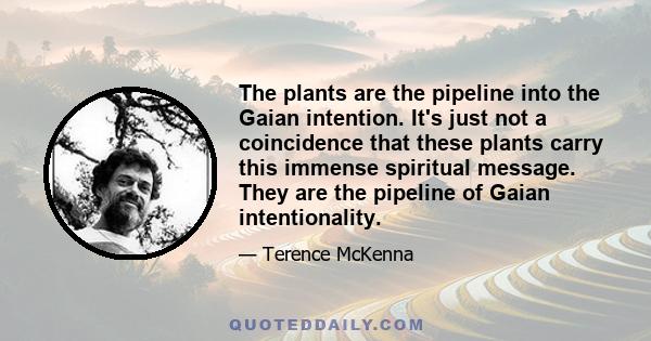 The plants are the pipeline into the Gaian intention. It's just not a coincidence that these plants carry this immense spiritual message. They are the pipeline of Gaian intentionality.