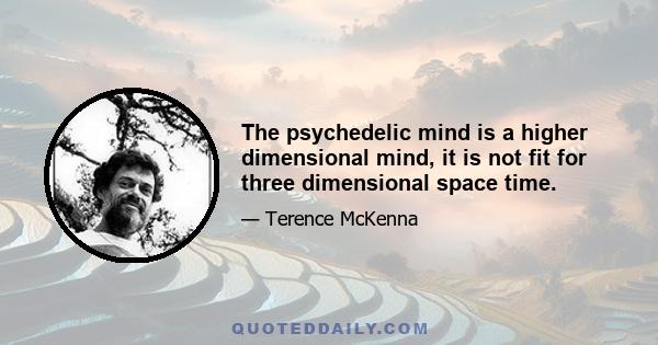 The psychedelic mind is a higher dimensional mind, it is not fit for three dimensional space time.